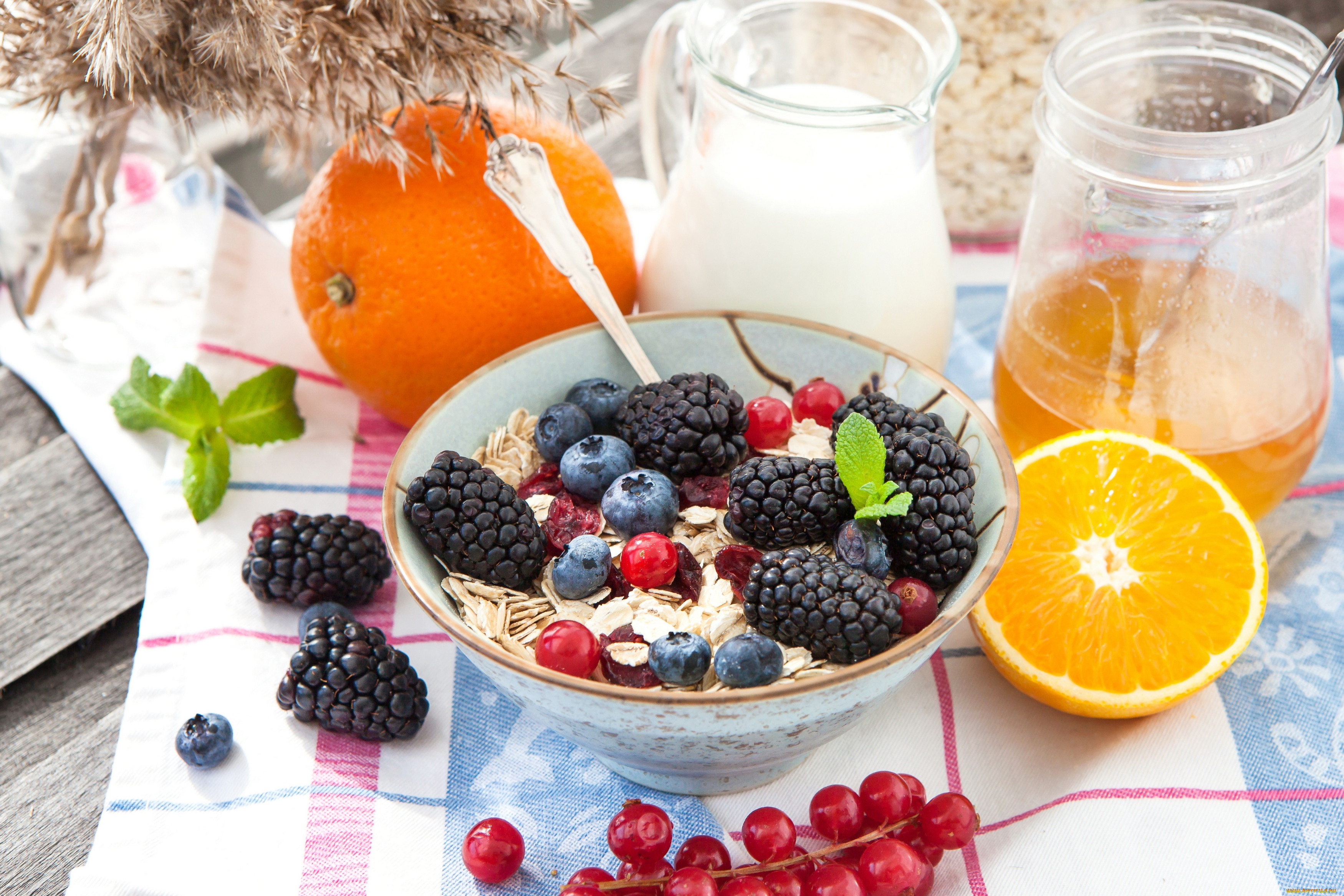 , , citrus, , , , , , , , a, healthy, breakfast, , , , muesli, with, milk, and, fruit, berries, cereals